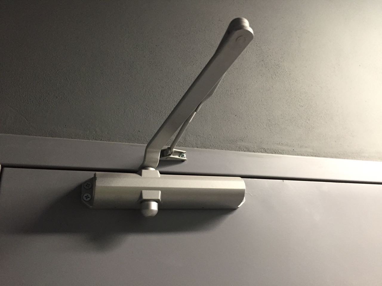 Detalle de cierrapuertas hidráulico para control de accesos